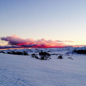 Meet your Posher, Adele